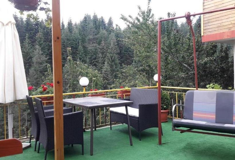 Номер Стандарт Вид на Горы, Guest House Stoletnika