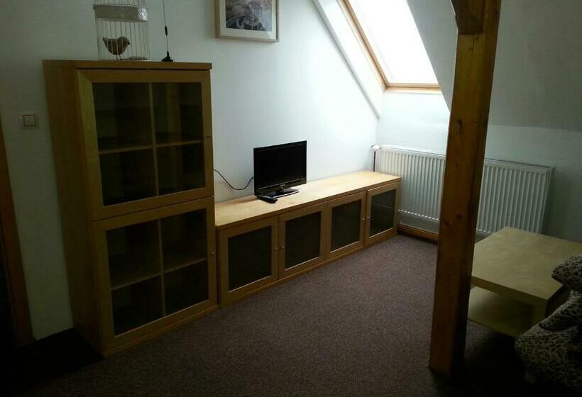 חדר סטנדרט, Penzion Hájovna