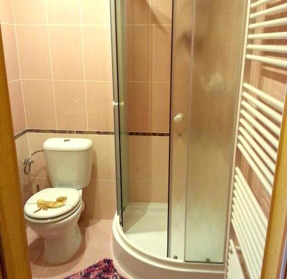 חדר סטנדרט, Penzion Hájovna