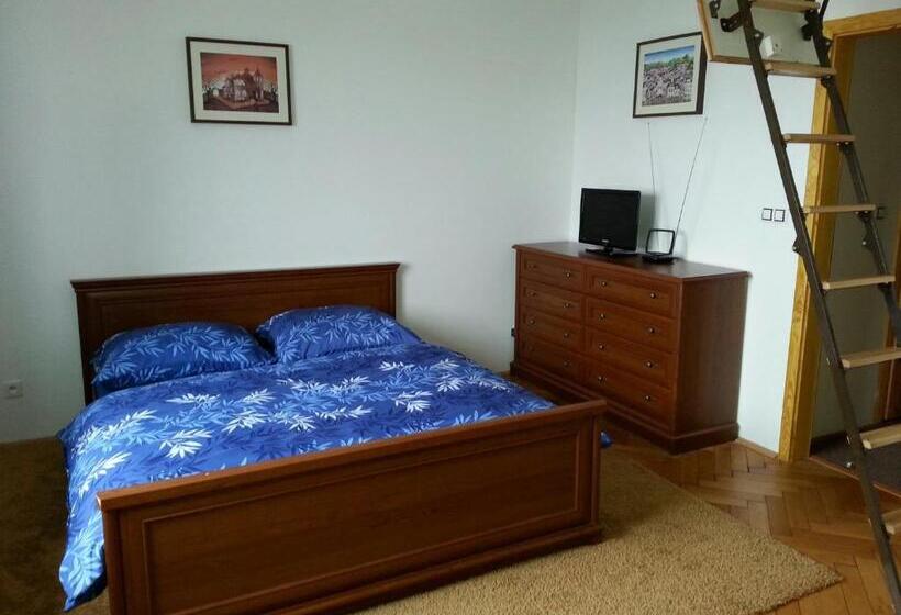 חדר סטנדרט, Penzion Hájovna