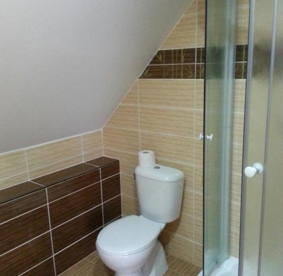 חדר סטודיו סטנדרד, Penzion Hájovna