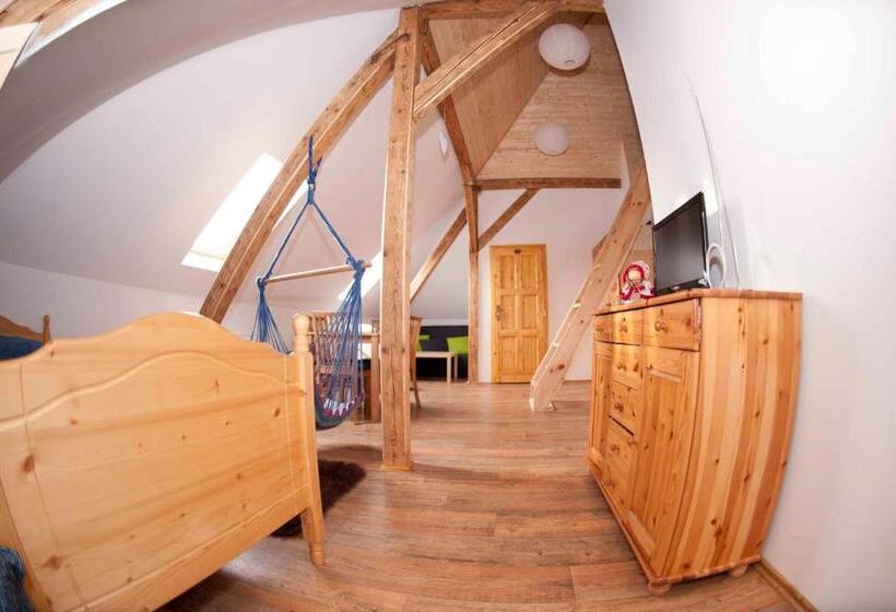 חדר סטודיו סטנדרד, Penzion Hájovna