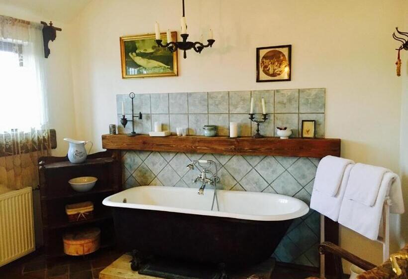 Номер Стандарт, Penzion V Polích