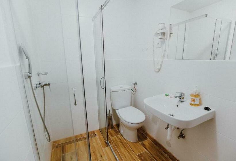 标准间, Pension Tofalvi