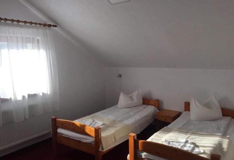 标准间, Pension Tofalvi