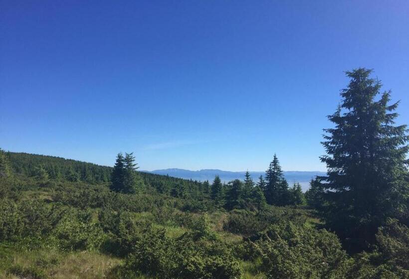 标准间, Pension Tofalvi