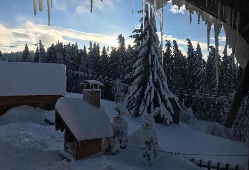 标准间, Pension Tofalvi