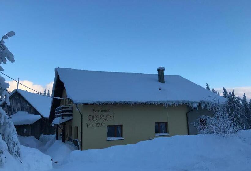 标准间, Pension Tofalvi