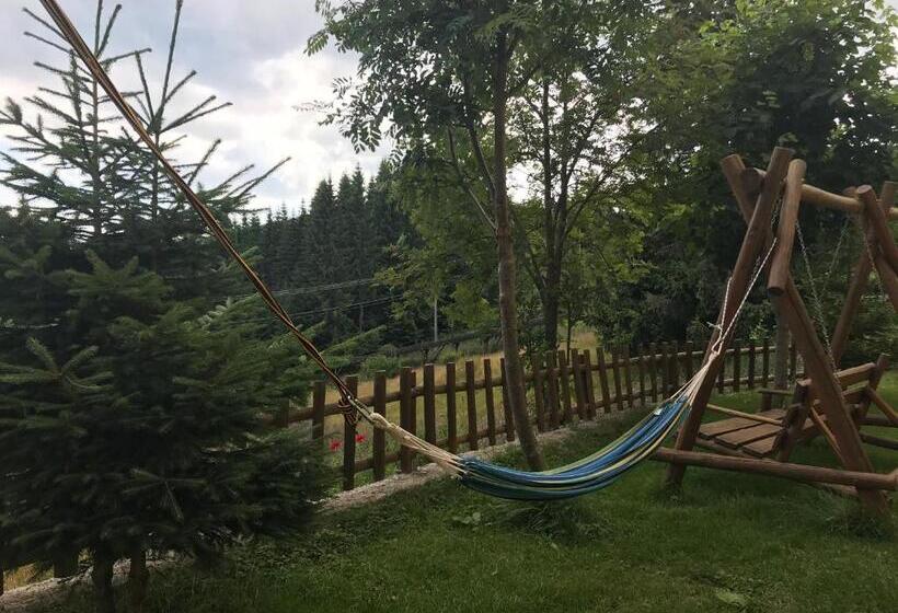 标准间, Pension Tofalvi