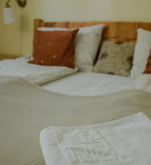 标准间, Pension Tofalvi