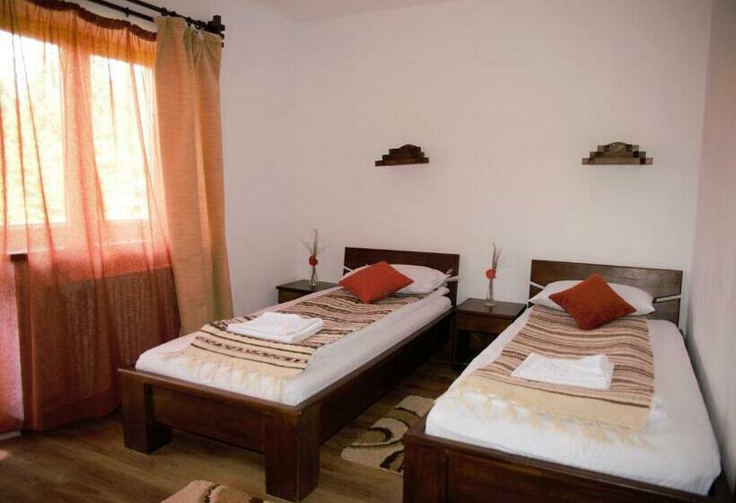 חדר סטנדרט, Pensiunea Andreea