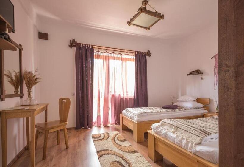 חדר סטנדרט, Pensiunea Andreea