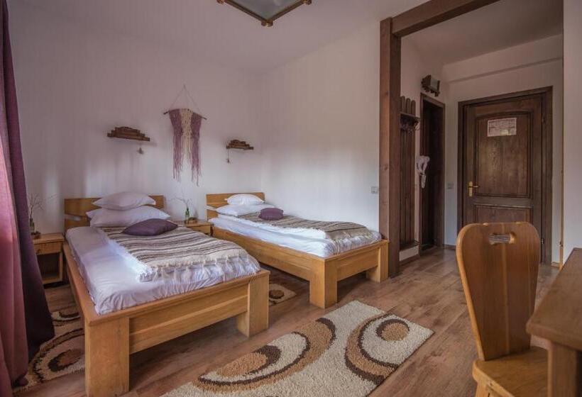 חדר סטנדרט, Pensiunea Andreea