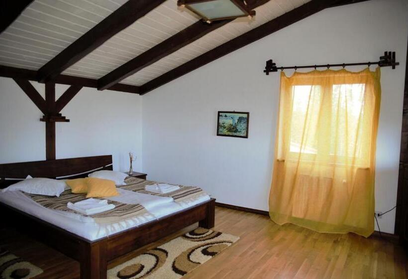 סוויטת 2 חדרי שינה, Pensiunea Andreea