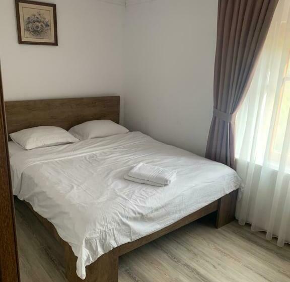 标准间, Pensiunea Laura