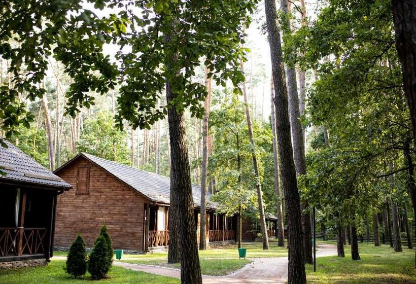 سوییت جونیور, Chudodiyevo Park