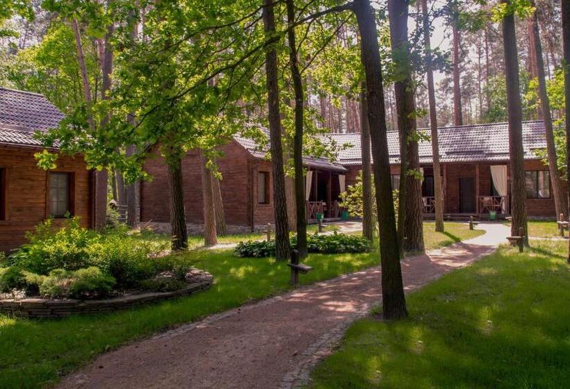 اتاق استاندارد, Chudodiyevo Park