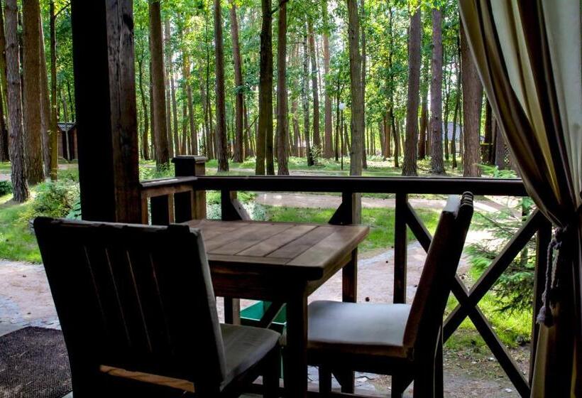 اتاق استاندارد, Chudodiyevo Park