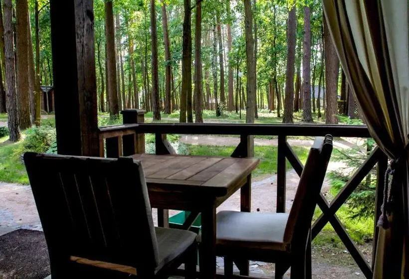 Standard-huone, Chudodiyevo Park