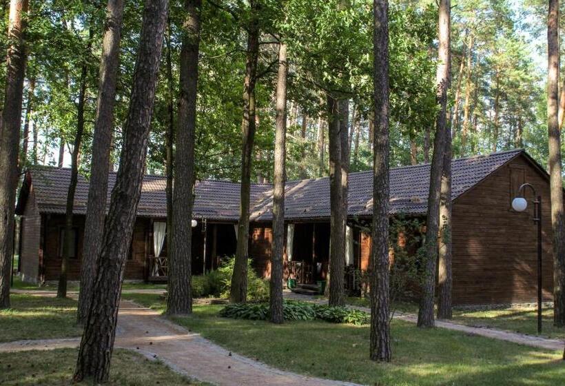 اتاق استاندارد, Chudodiyevo Park