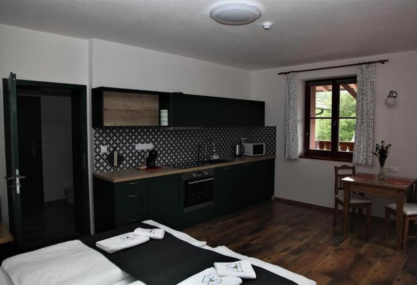 Студия Стандарт, Aparthotel Mádr