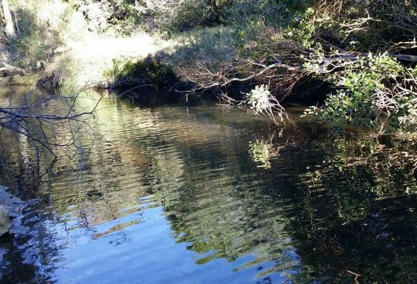 Стандартный Номер Кровать Кинг, El Ahora