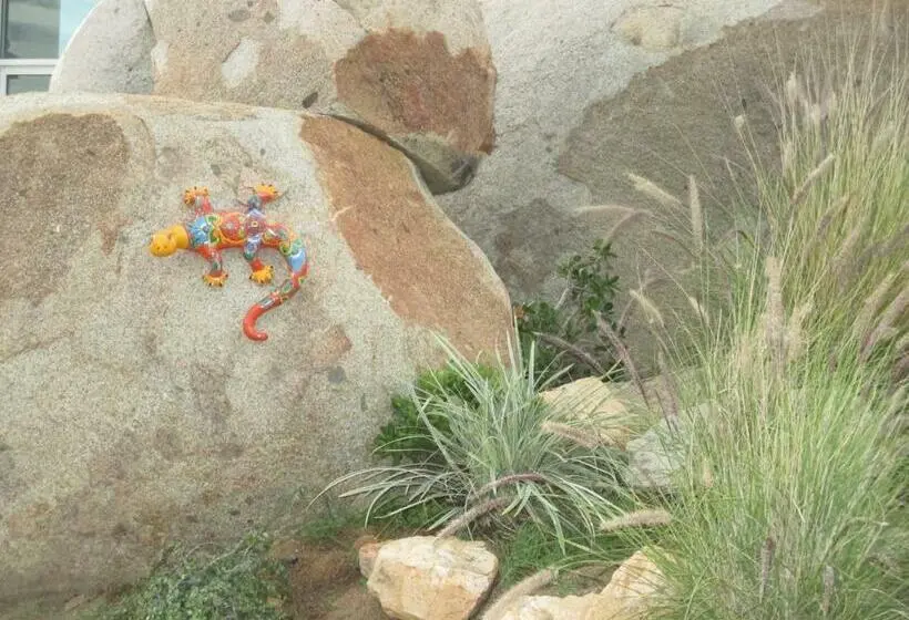 ビラホテル１ベッドルーム, En Kanto Valle De Guadalupe