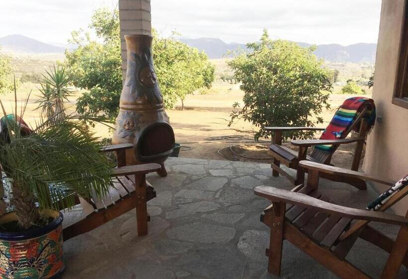 بنجلو قياسى, En Kanto Valle De Guadalupe