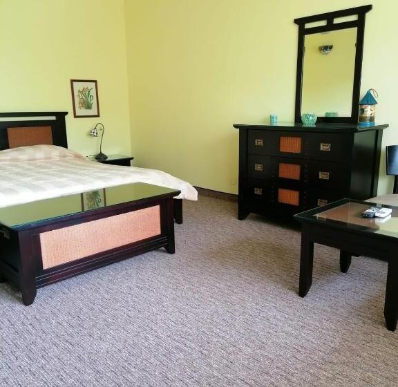 Полулюкс Одноместный с Террасой, Monteoru