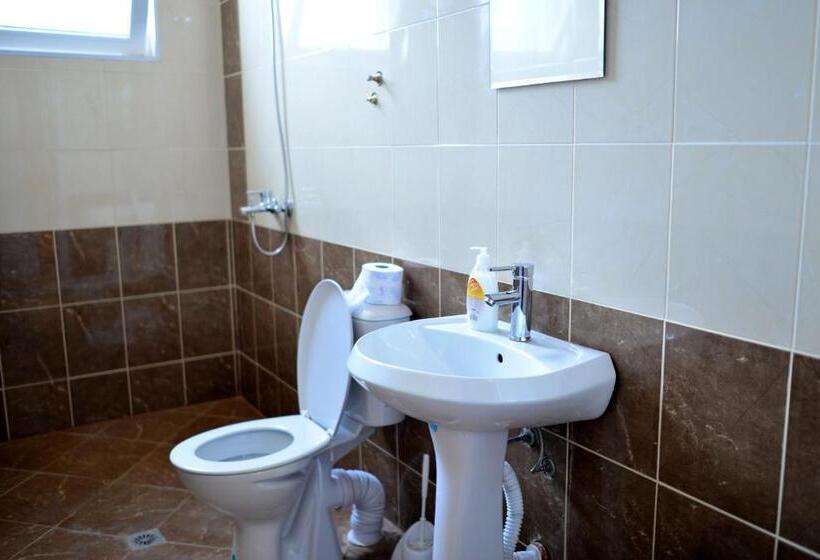 豪华工作室, Avangard