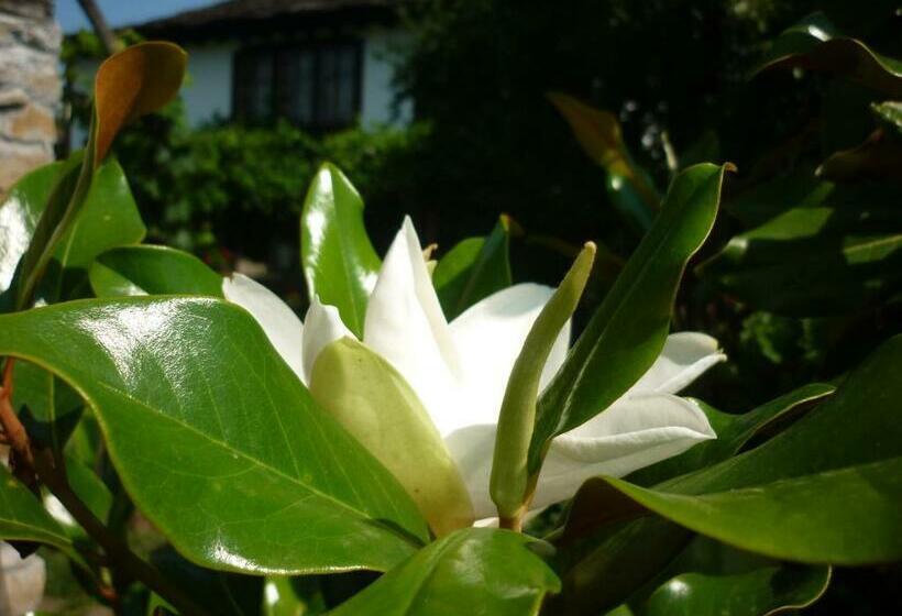 חדר סטנדרט לשלושה, Guesthouse Peyna