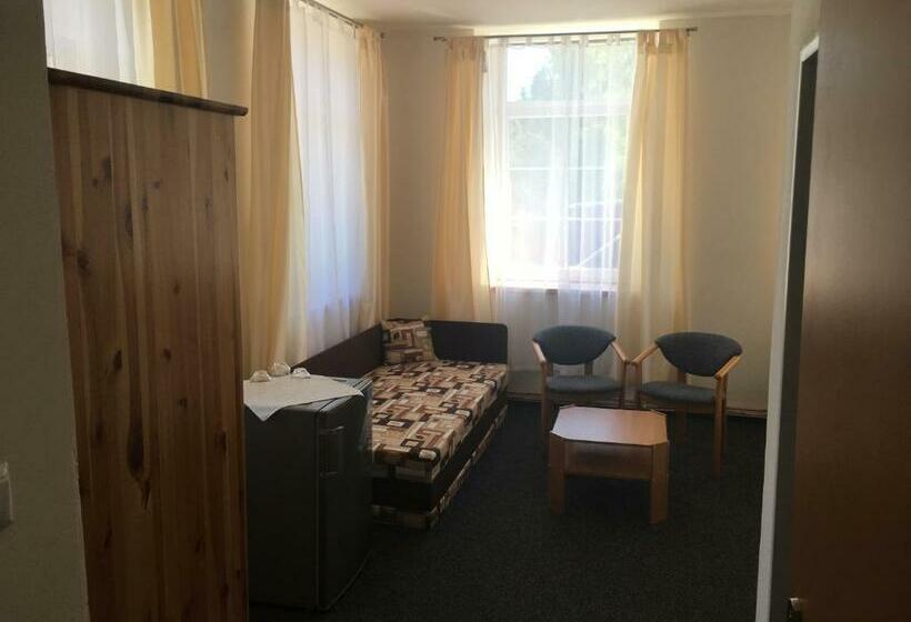 Номер Стандарт, Pension Milštejn