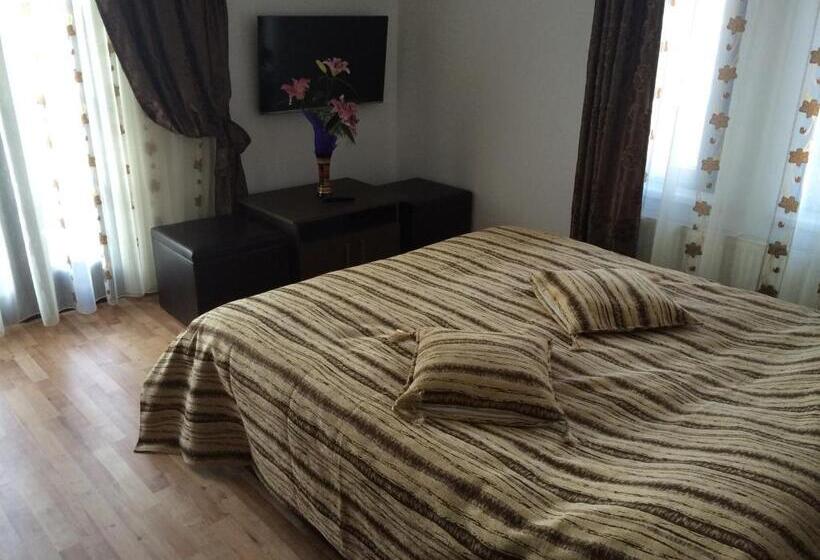 Номер Стандарт с Балконом, Pensiunea Dany   Crys