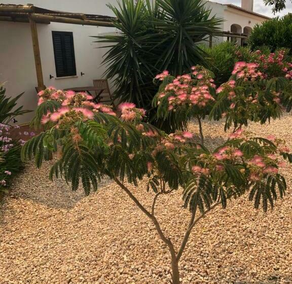 스탠다드 룸, Quinta Das Amendoeiras B&b