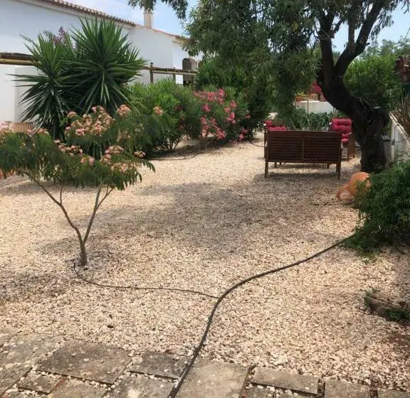 スタンダードルーム, Quinta Das Amendoeiras B&b
