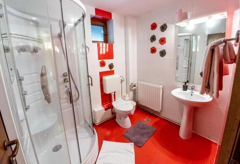 חדר סטנדרט נוף להרים, Valea Lui Liman