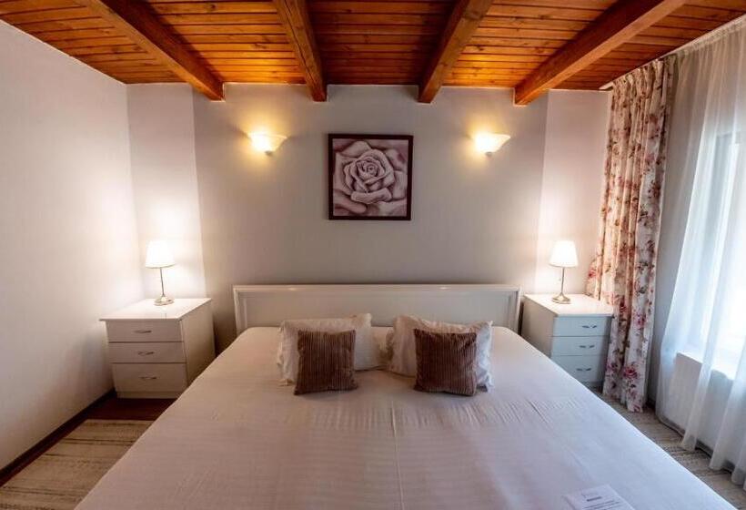 דירת חדר דלוקס, Valea Lui Liman