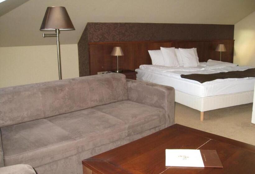 高级大房间, Szepia Bio And Art