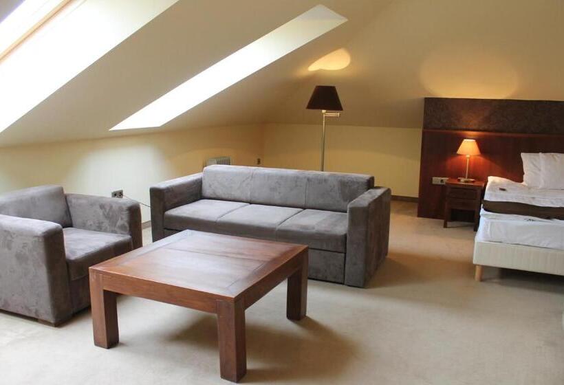 高级大房间, Szepia Bio And Art