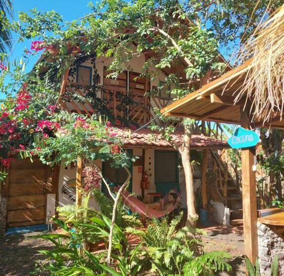 스탠다드 룸 공동 욕실, La Urraca Loca Hostel