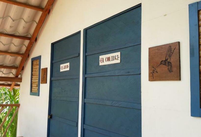Номер Стандарт Совместная Ванная, La Urraca Loca Hostel