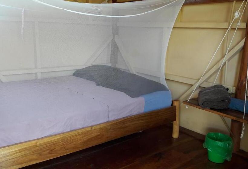 Номер Стандарт Совместная Ванная, La Urraca Loca Hostel