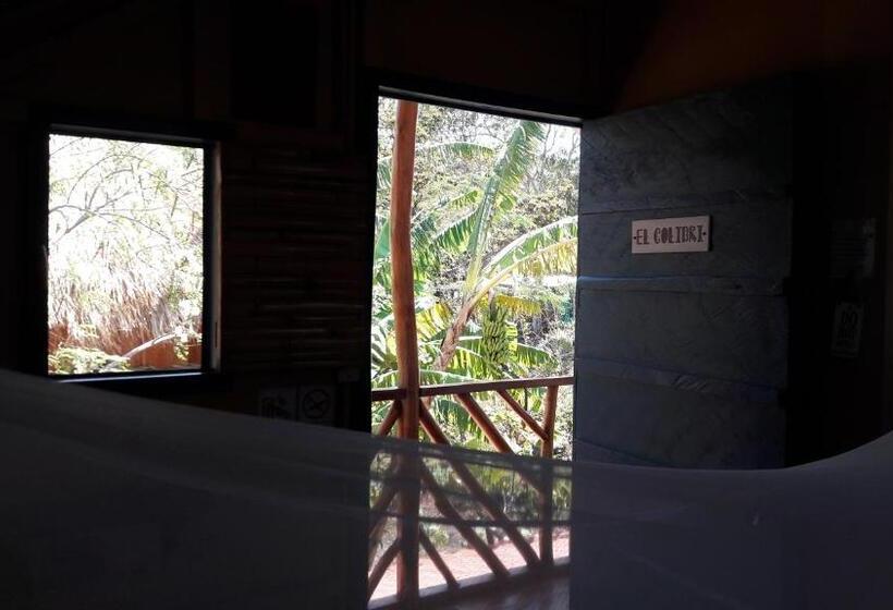 스탠다드 룸 공동 욕실, La Urraca Loca Hostel