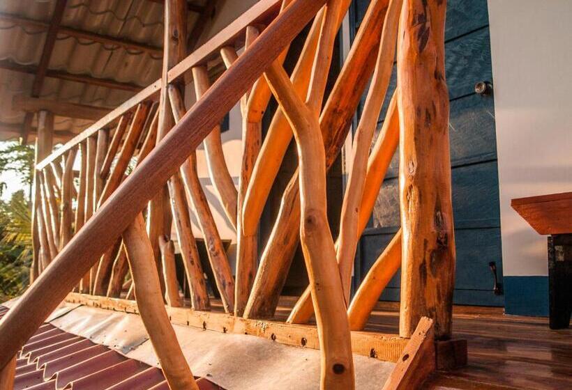 스탠다드 룸 공동 욕실, La Urraca Loca Hostel