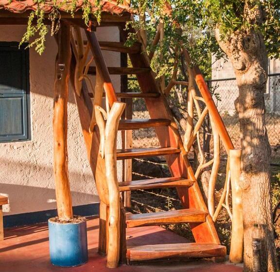 스탠다드 룸 공동 욕실, La Urraca Loca Hostel