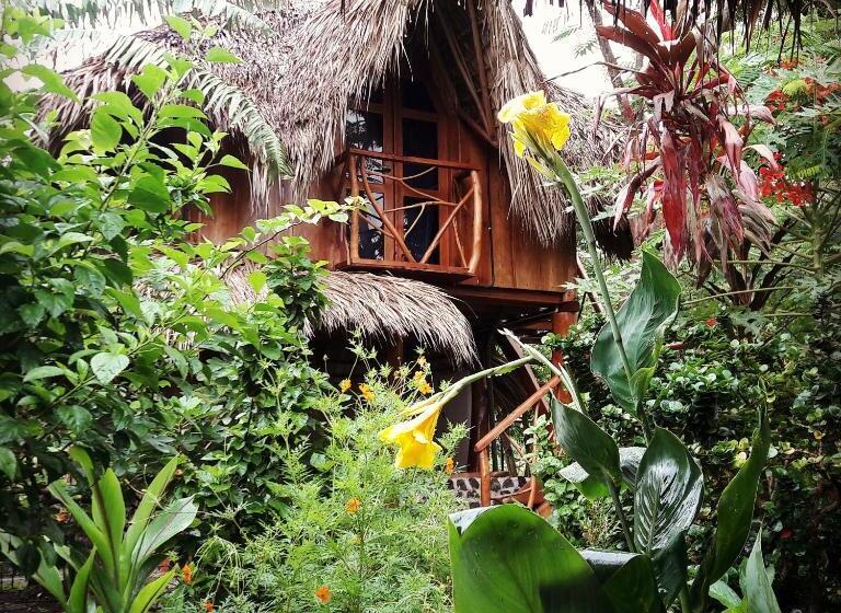 스탠다드 룸, La Urraca Loca Hostel