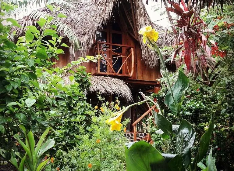 اتاق استاندارد, La Urraca Loca Hostel