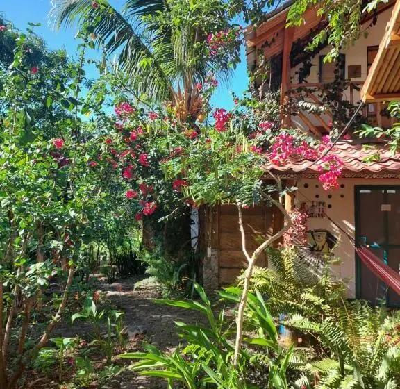 اتاق استاندارد, La Urraca Loca Hostel