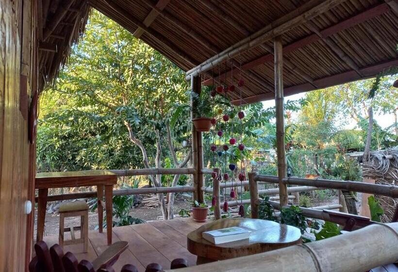 Бунгало Стандарт, La Urraca Loca Hostel