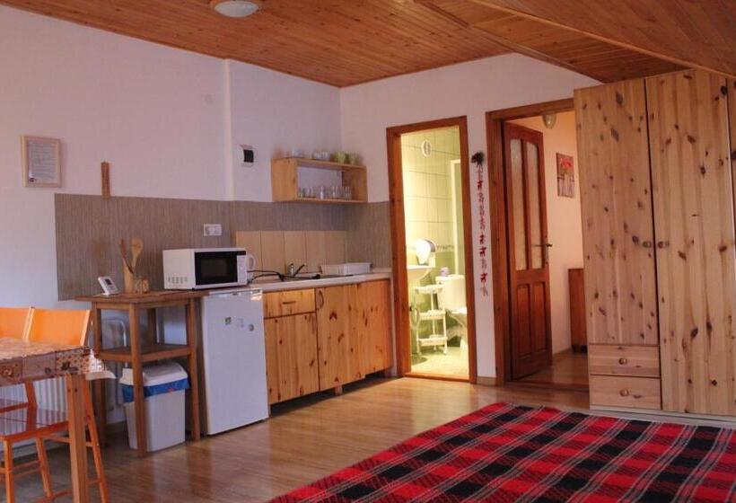 家庭间, Apartmany U Janka Vinné Jazero